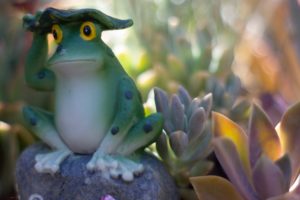 Photo of a frog figurine